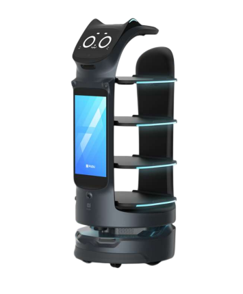Robot Flash Delivery